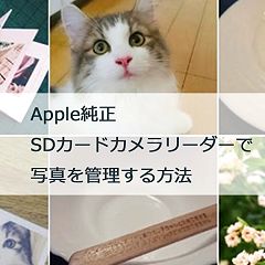 16位のイメージ