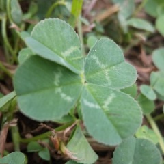 22位のイメージ