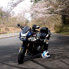 52位のイメージ