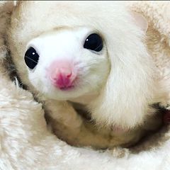 27位のイメージ