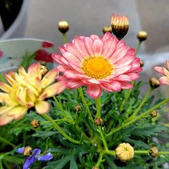 40位のイメージ