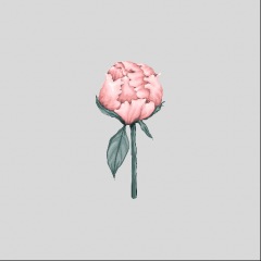 10位のイメージ