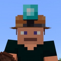 17位のイメージ