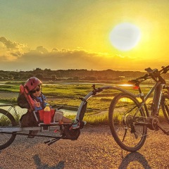 26位のイメージ