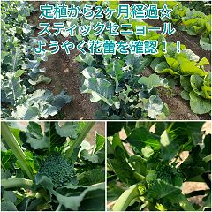 26位のイメージ