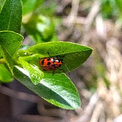 55位のイメージ