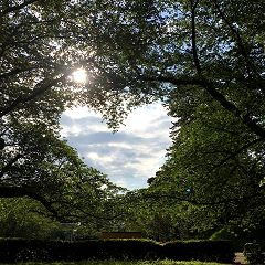 52位のイメージ