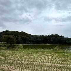 103位のイメージ