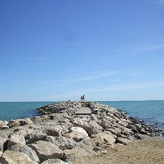 19位のイメージ