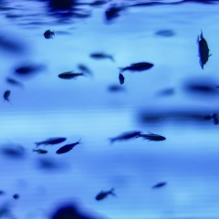 12位のイメージ