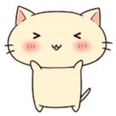 13位のイメージ