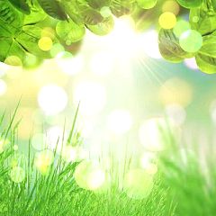 16位のイメージ