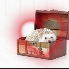 19位のイメージ