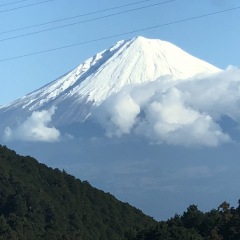 11位のイメージ