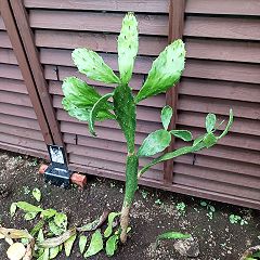 14位のイメージ