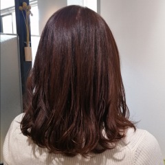 54位のイメージ