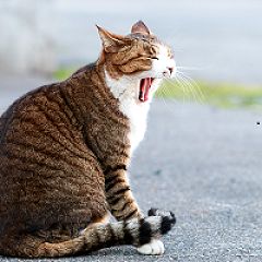 27位のイメージ