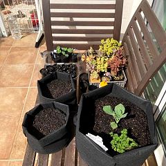 23位のイメージ