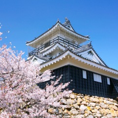 117位のイメージ