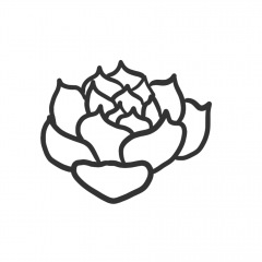 68位のイメージ