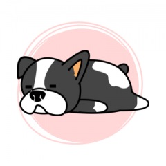 25位のイメージ