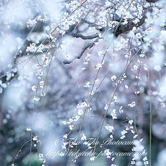 23位のイメージ