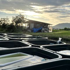 28位のイメージ