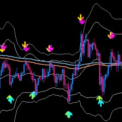 26位のイメージ
