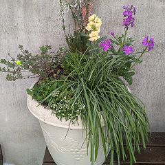 43位のイメージ