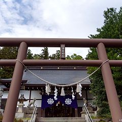 174位のイメージ