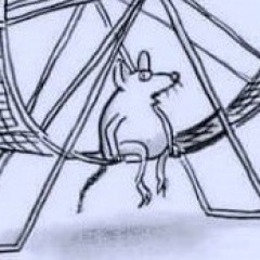 25位のイメージ