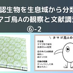 15位のイメージ