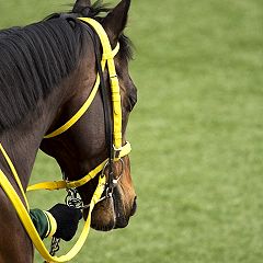 40位のイメージ