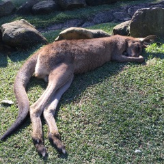 18位のイメージ