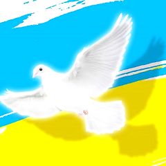 22位のイメージ