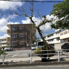 14位のイメージ