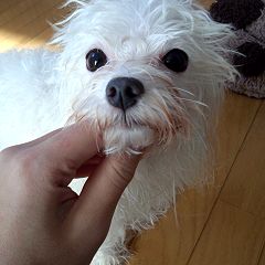 25位のイメージ