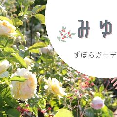 30位のイメージ