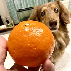 82位のイメージ