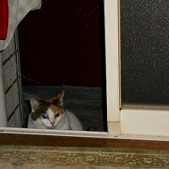 130位のイメージ