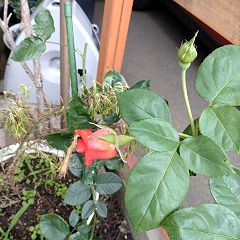 69位のイメージ