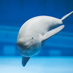 19位のイメージ