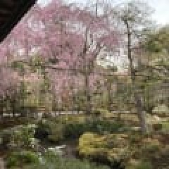 34位のイメージ