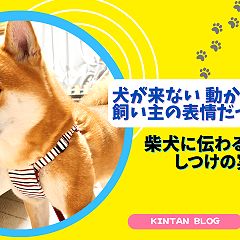 13位のイメージ