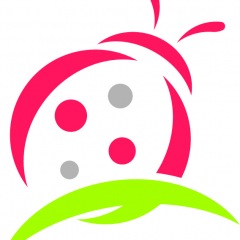 12位のイメージ