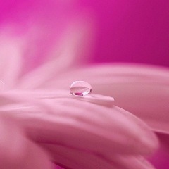 13位のイメージ