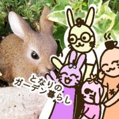 20位のイメージ