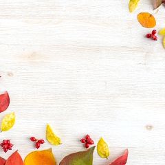 35位のイメージ