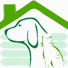 27位のイメージ