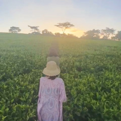 20位のイメージ